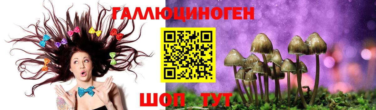 Псилоцибиновые грибы Psilocybine cubensis Екатеринбург
