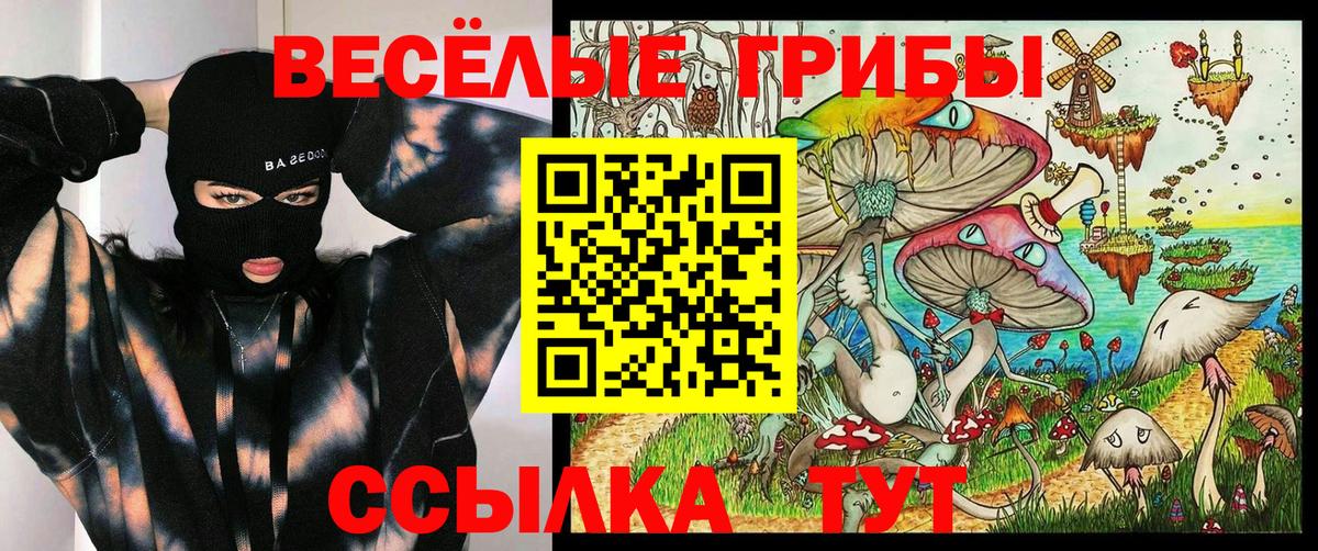 Екатеринбург  Галлюциногенные грибы GOLDEN TEACHER  Вход с VPN 